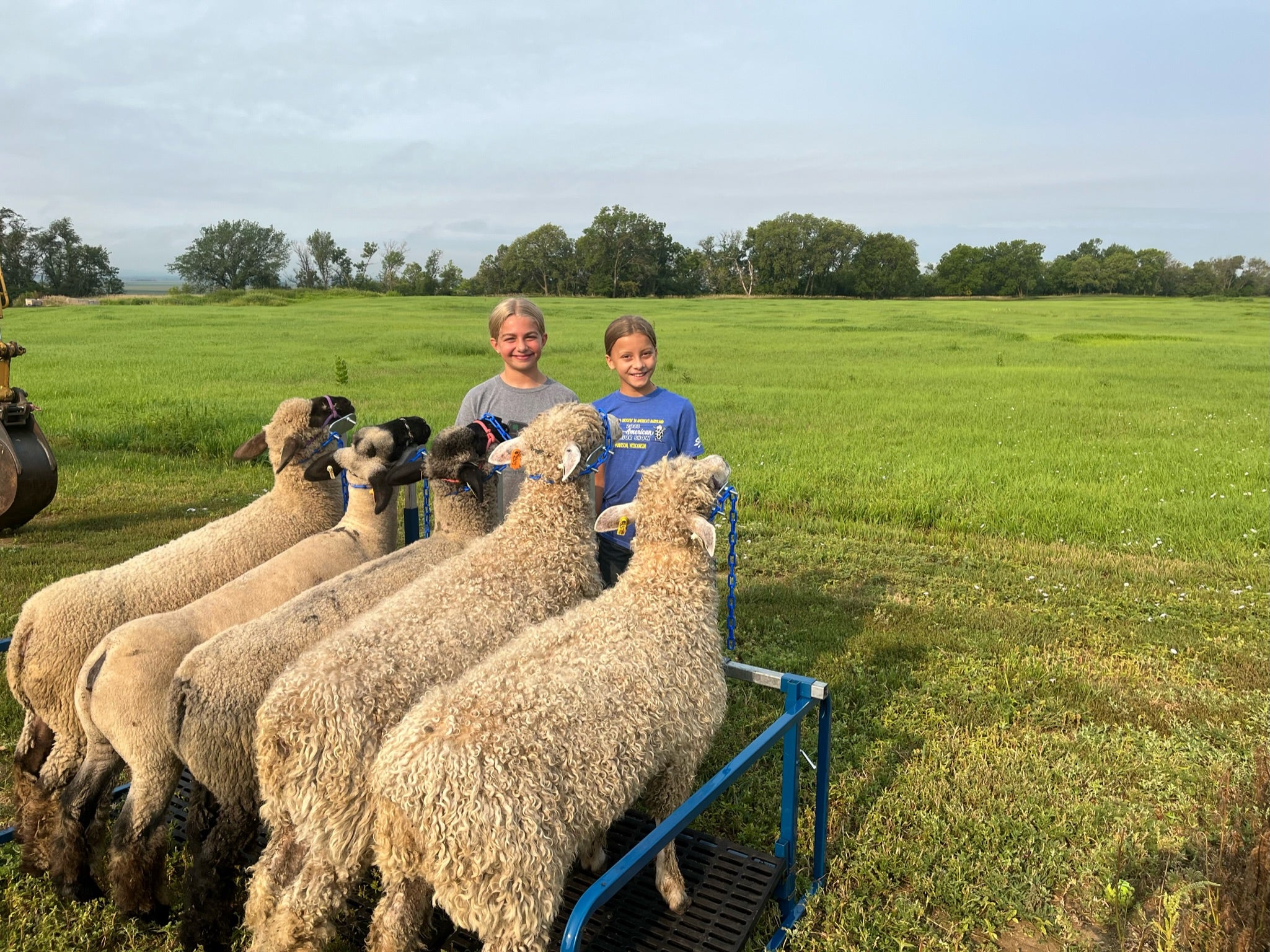 County Fair Week!