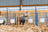 SydellEquipment-184sydell-sheep-goat-farm-handling-equipment-livestock-foldingstylepens-lambing-kidding-lambingjug-kiddingjug-lambingpens-kiddingpens-doublepanels-freestanding