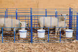 SydellEquipment-195sydell-sheep-goat-farm-handling-equipment-livestock-foldingstylepens-lambing-kidding-lambingjug-kiddingjug-lambingpens-kiddingpens-doublepanels