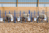 SydellEquipment-201sydell-sheep-goat-farm-handling-equipment-livestock-foldingstylepens-lambing-kidding-lambingjug-kiddingjug-lambingpens-kiddingpens-doublepanels