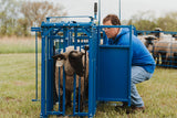 Sydell complete goat and sheep cage with auto headgate