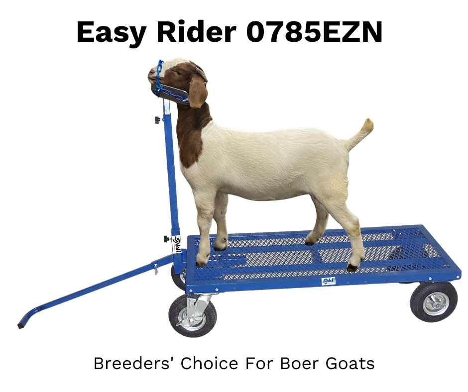 ツアー支給品 GOAT Tour Only 303SS Handstamped E.Z. Rider Wash Cart for Sheep & Goats | Mobile Show Equipment