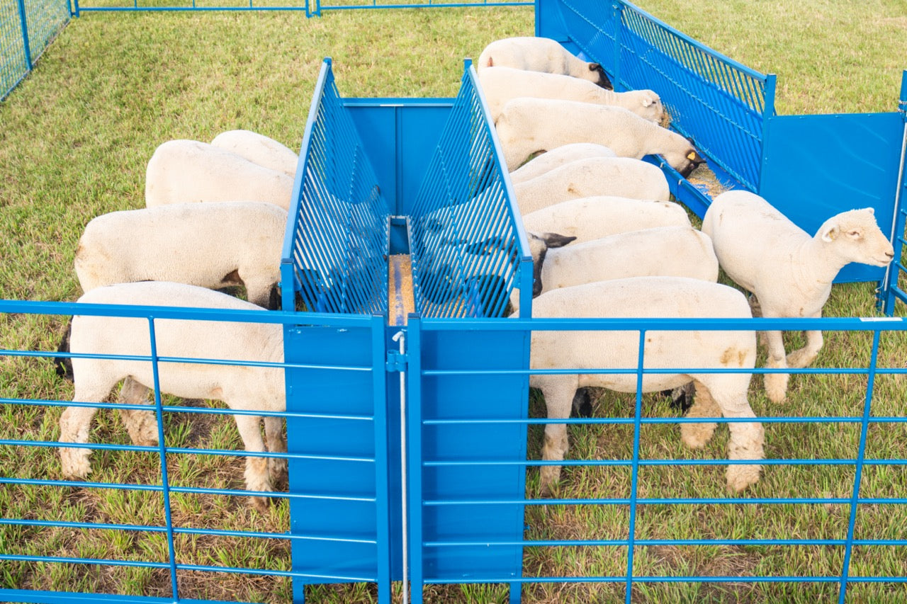 2-Sided Vertical Combination Feeders (824/826) sheep and goat grain feeder for livestock handling and animal flow