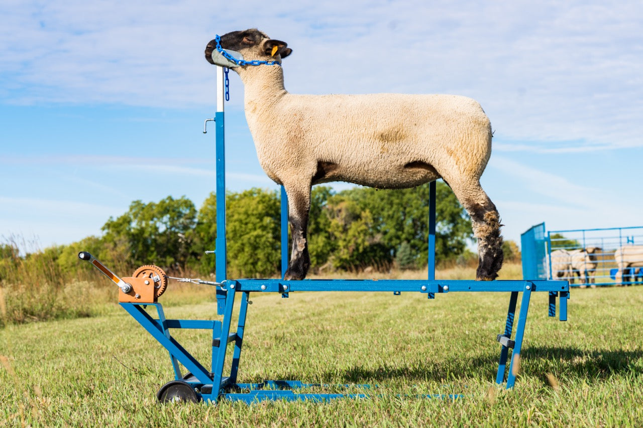 Sydell goat and sheep stand with winch block