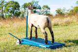 Sydell goat and sheep hydraulic stand with cast aluminum wheels