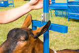 Sydell goat and sheep equipment milking head piece with poly feeder for milk stanchion milking goats and sheep