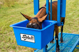 Sydell goat and lamb milking stanchion goat and sheep farming