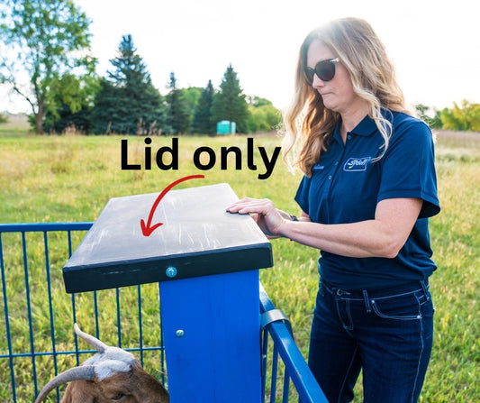 Sheep and goat grain feeder setup designed for safer handling and routine management
