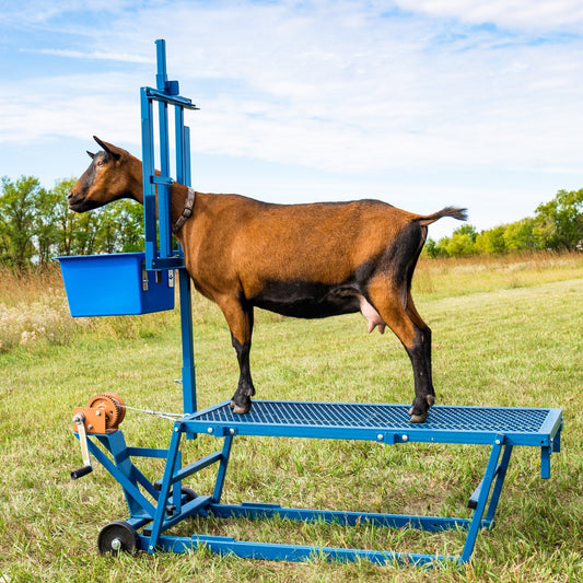 Auto Head Locking Milking Stanchion 1050B with 24" Extension for Stand for Sheep & Goats | Sydell #1050B
