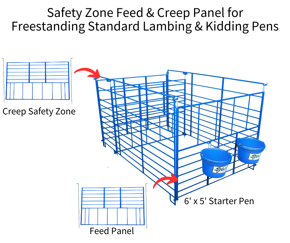 Sheep and goat handling equipment setup designed for safer handling and routine management