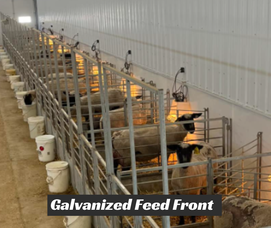 Sheep and goat lambing jug setup designed for safer handling and routine management