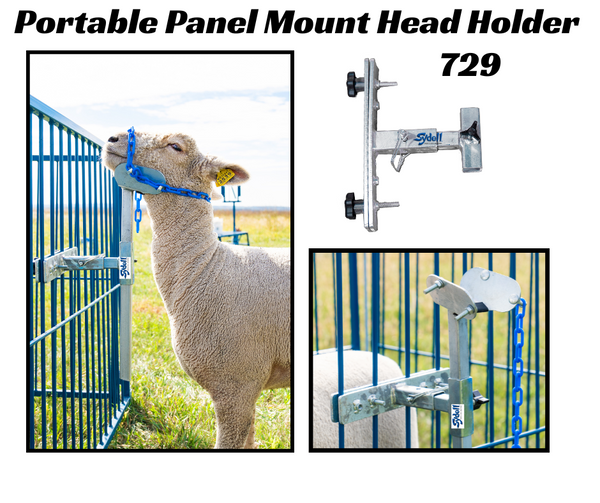 729_sheep_show_head_Portable_P