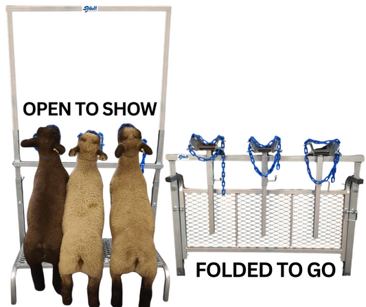 Sheep and goat show stand setup designed for safer handling and routine management