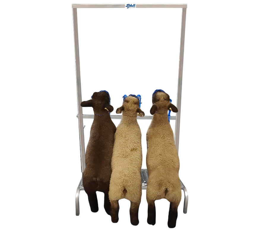 Show and Go Sign Display (739S)