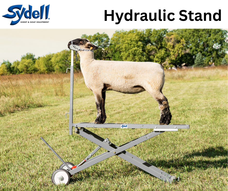Hydraulic Stand for Sheep & Goats | Sydell #0780