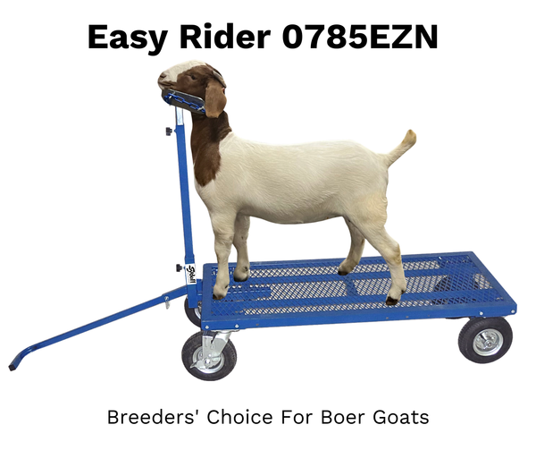 E.Z. Rider 0785EZN – Sydell, Inc
