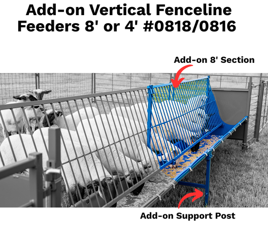 Sheep and goat grain feeder setup designed for safer handling and routine management