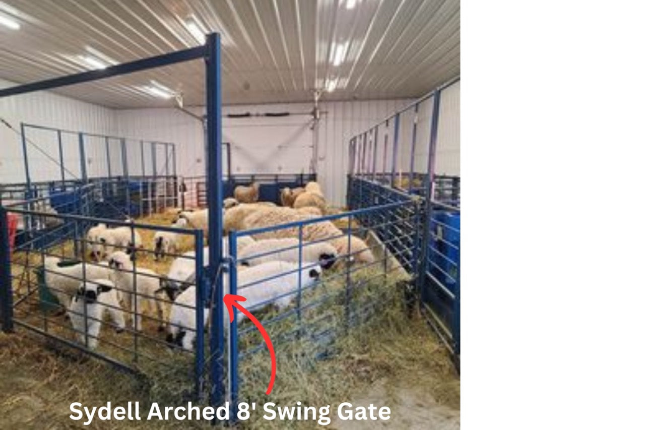 Sydell Arched eight foot swing gate for herding sheep and goats