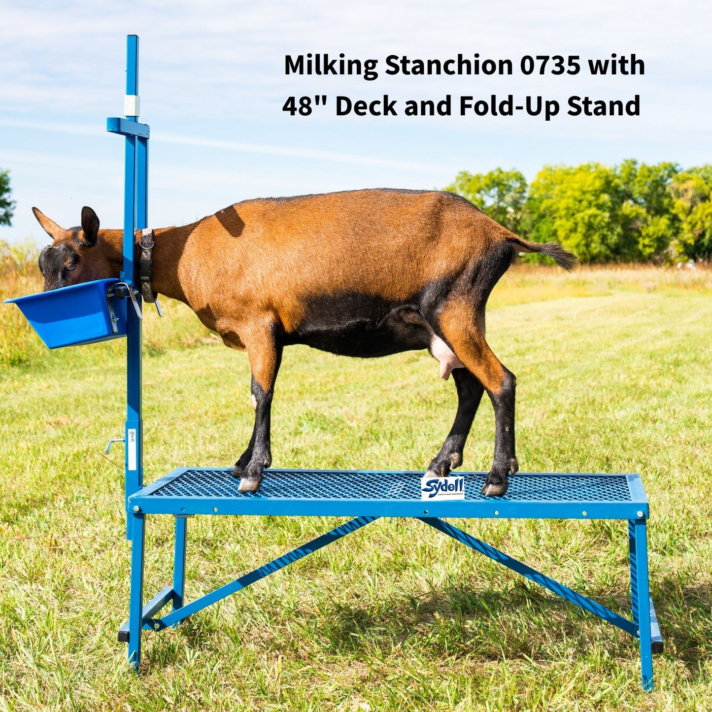 Milking Stanchion for Sheep & Goats | Sydell #0736