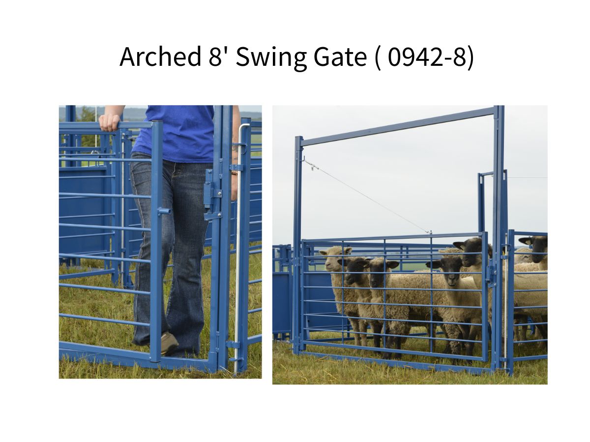 Arched 8' Swing Gate for Sheep & Goats | Sydell #0942-8 / #0942-8-G