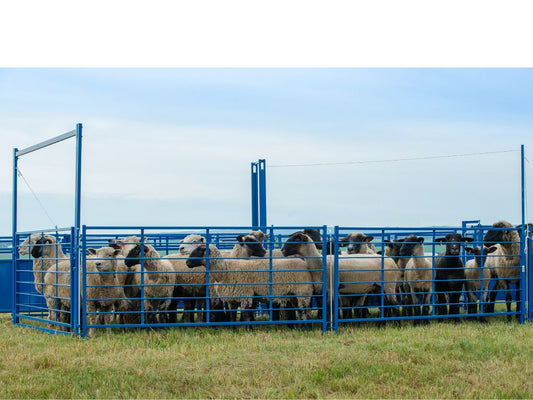 Holding Pen for add on to Complete Corral System / Working System for Sheep & Goats | Sydell #0991PEN