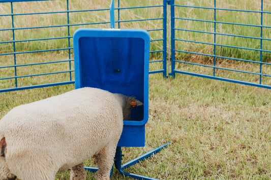 Sydell 50 lb Salt & Mineral Feeder with 4-Leg Base – Sheep, Goat & Small Livestock Mineral Feeder | Item #0805 installed in barn layout for efficien