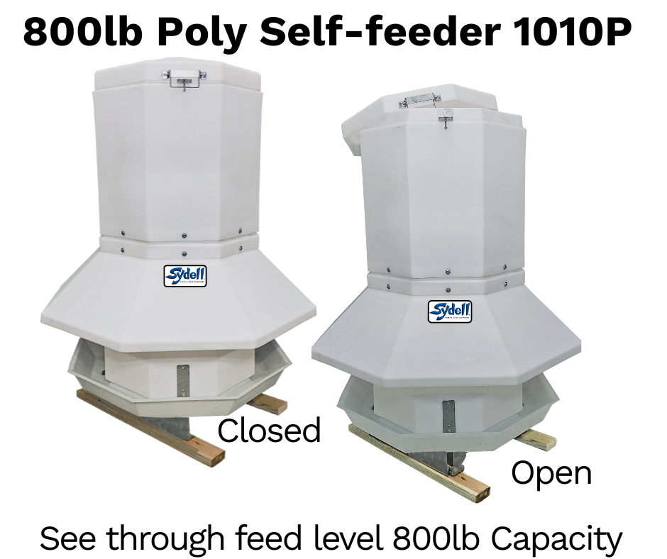 800lb Poly Self Feeder capacity for Sheep & Goats | Sydell