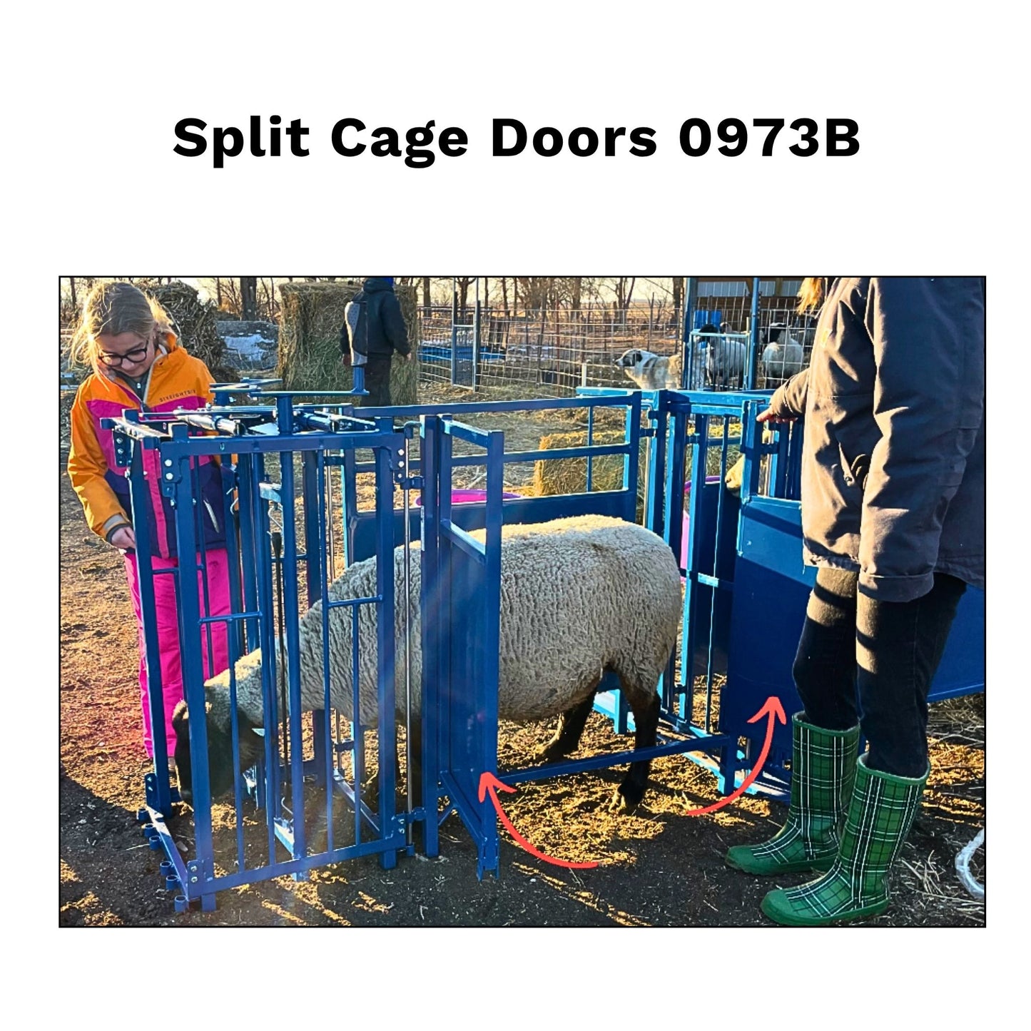 Split Doors Panel for Sheep & Goats | Sydell #0973B