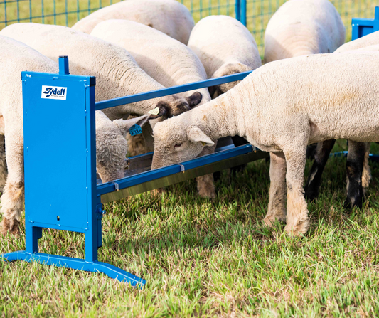 Bunk/Trough Grain Feeder, Flat Trough 4' (0852F-4) 7' (0852F) sheep and goat grain feeder for livestock handling and animal flow