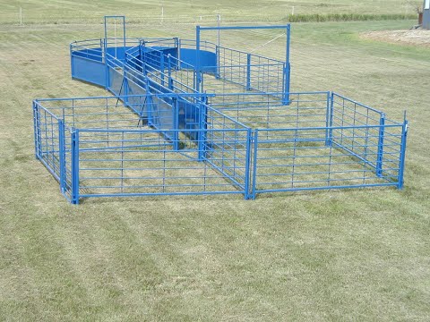 Sheep and goat handling chute setup designed for safer handling and routine management