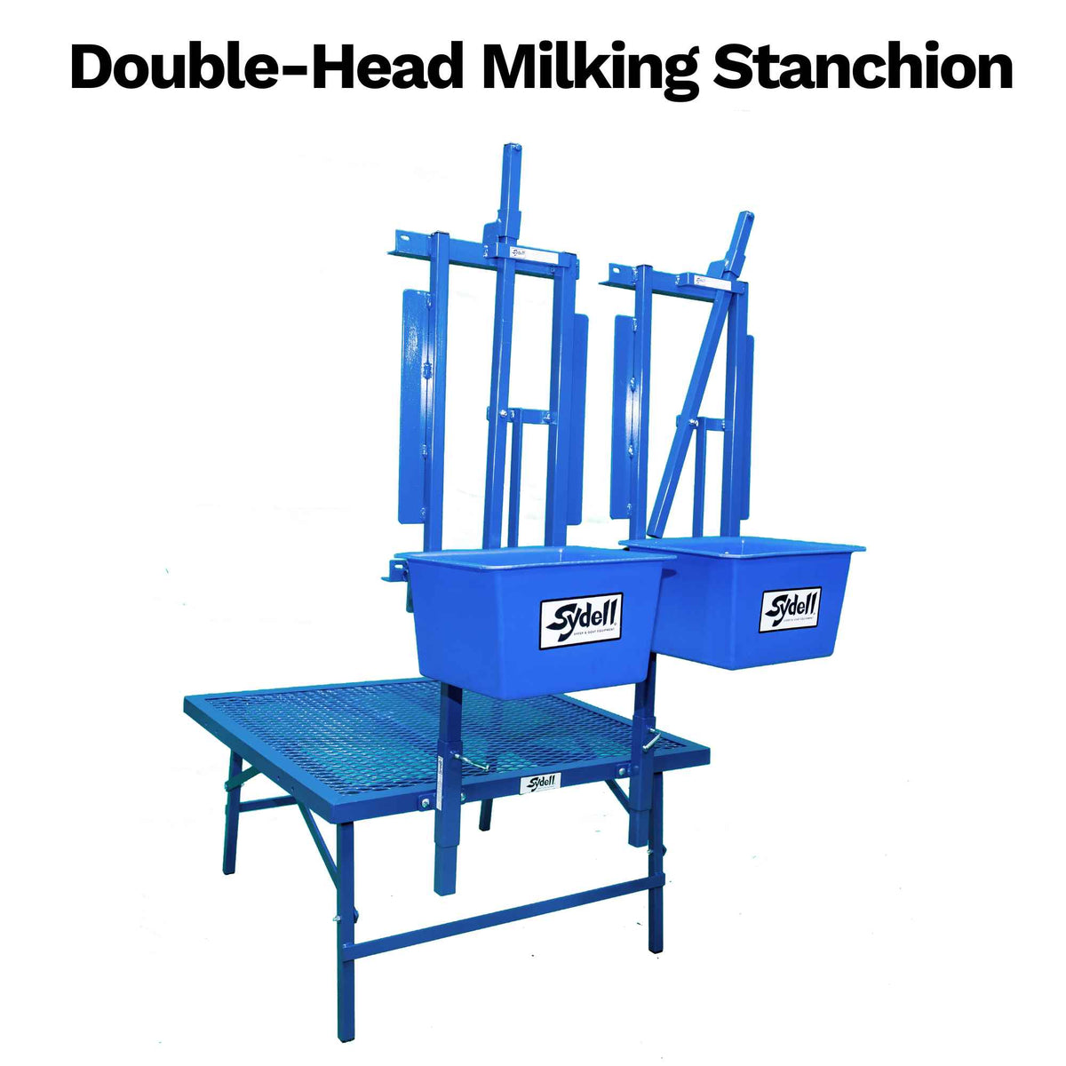 Sheep and Goat Double-Headed Milking Stanchion | Sydell #1052
