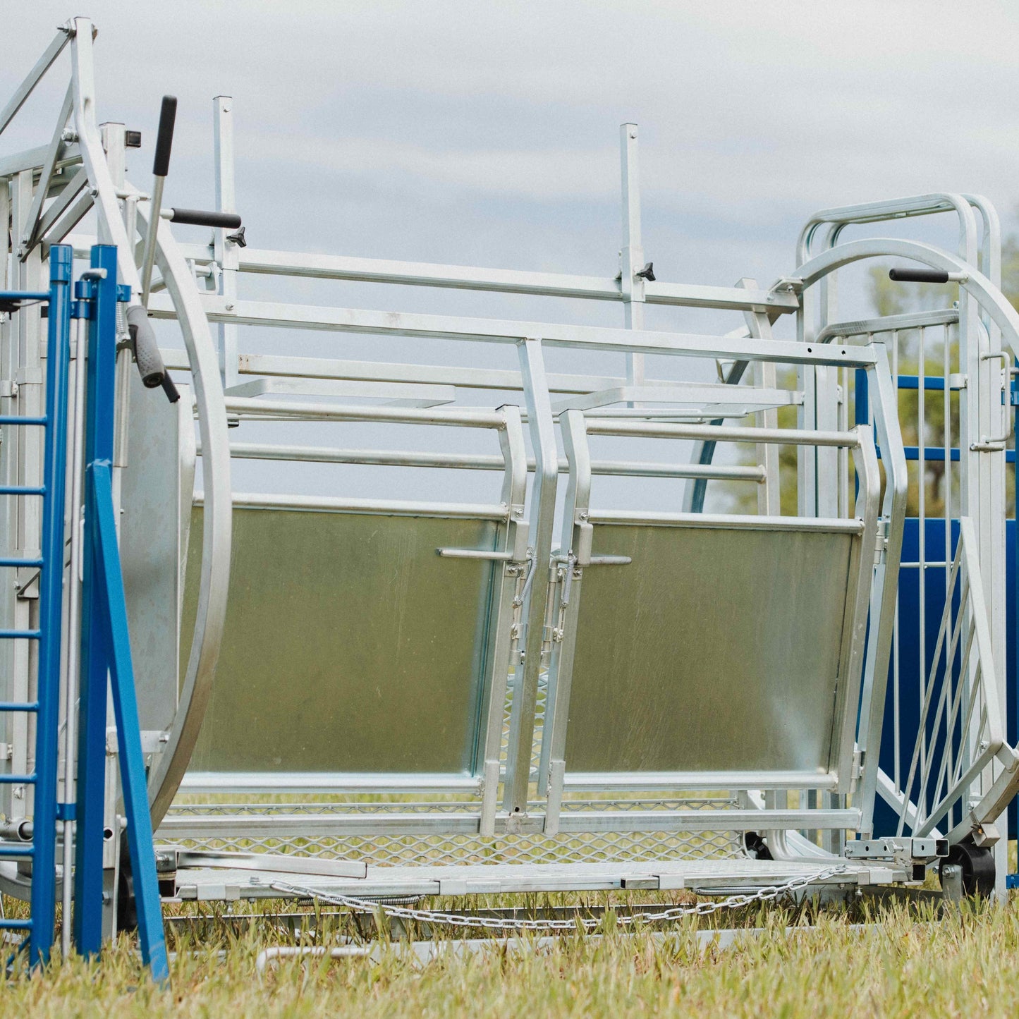 Deluxe Spin Doctor Sheep & Goat Hoof Trimming | Sydell #0938