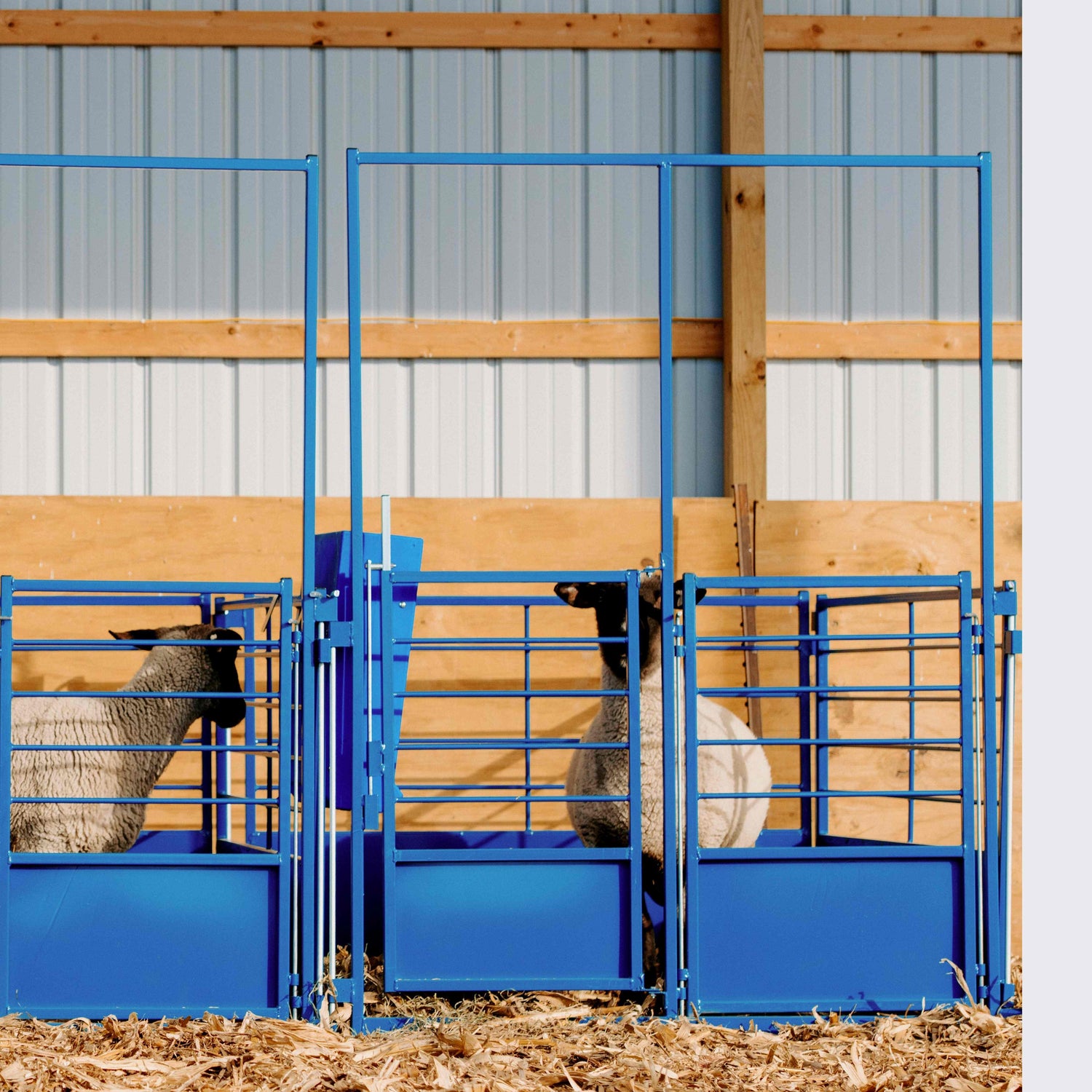 heavy-duty pens designed to provide a safe, secure, and comfortable space for lambing and kidding. Built for sheep and goats