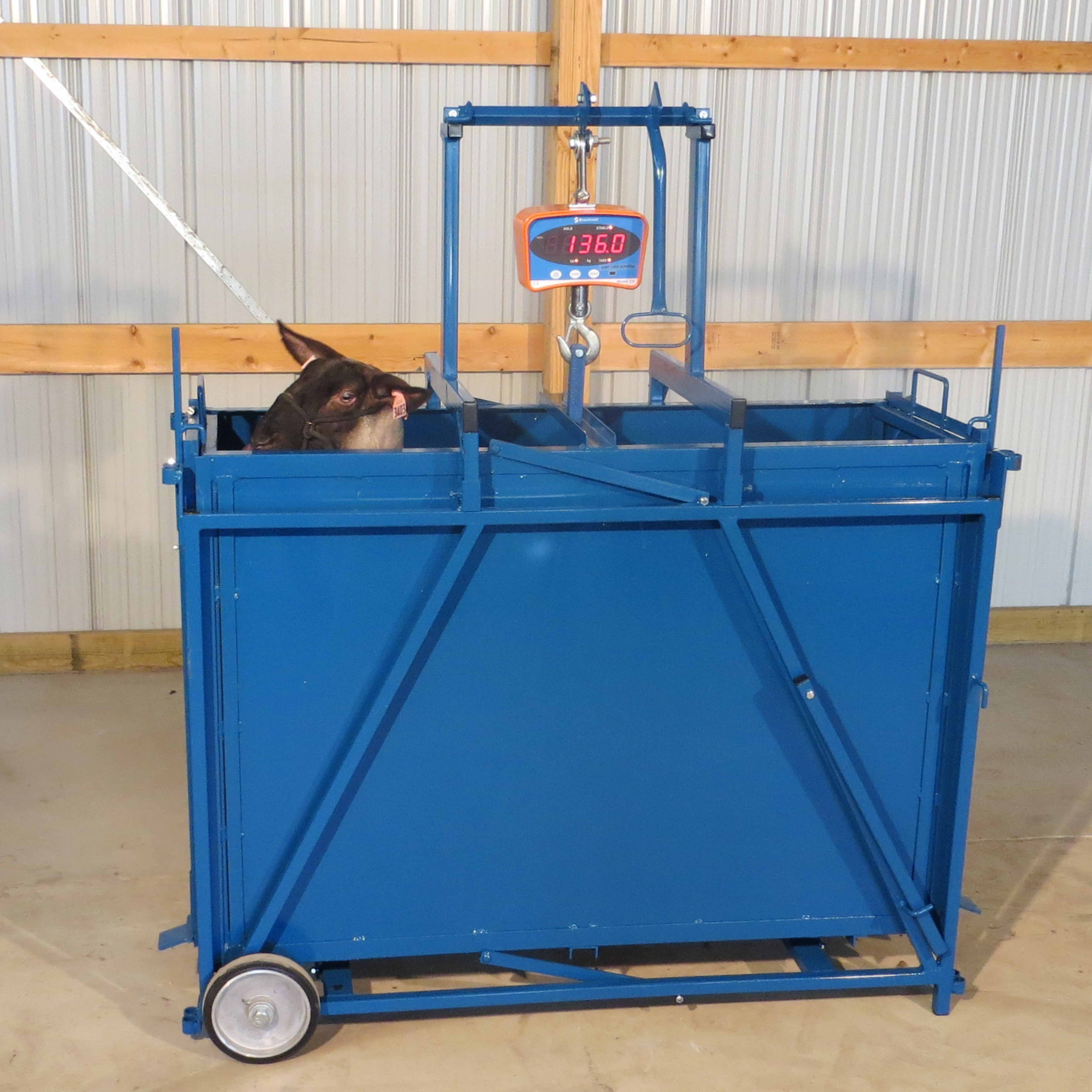 Sheep & Goat Livestock Scales | Animal Weighing Systems | Sydell ...