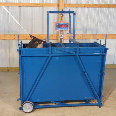 Livestock scale for sheep and goats used to accurately monitor animal weight on farms and ranches.  Sydell sheep and goat scale designed for precise livestock weighing and herd management.
