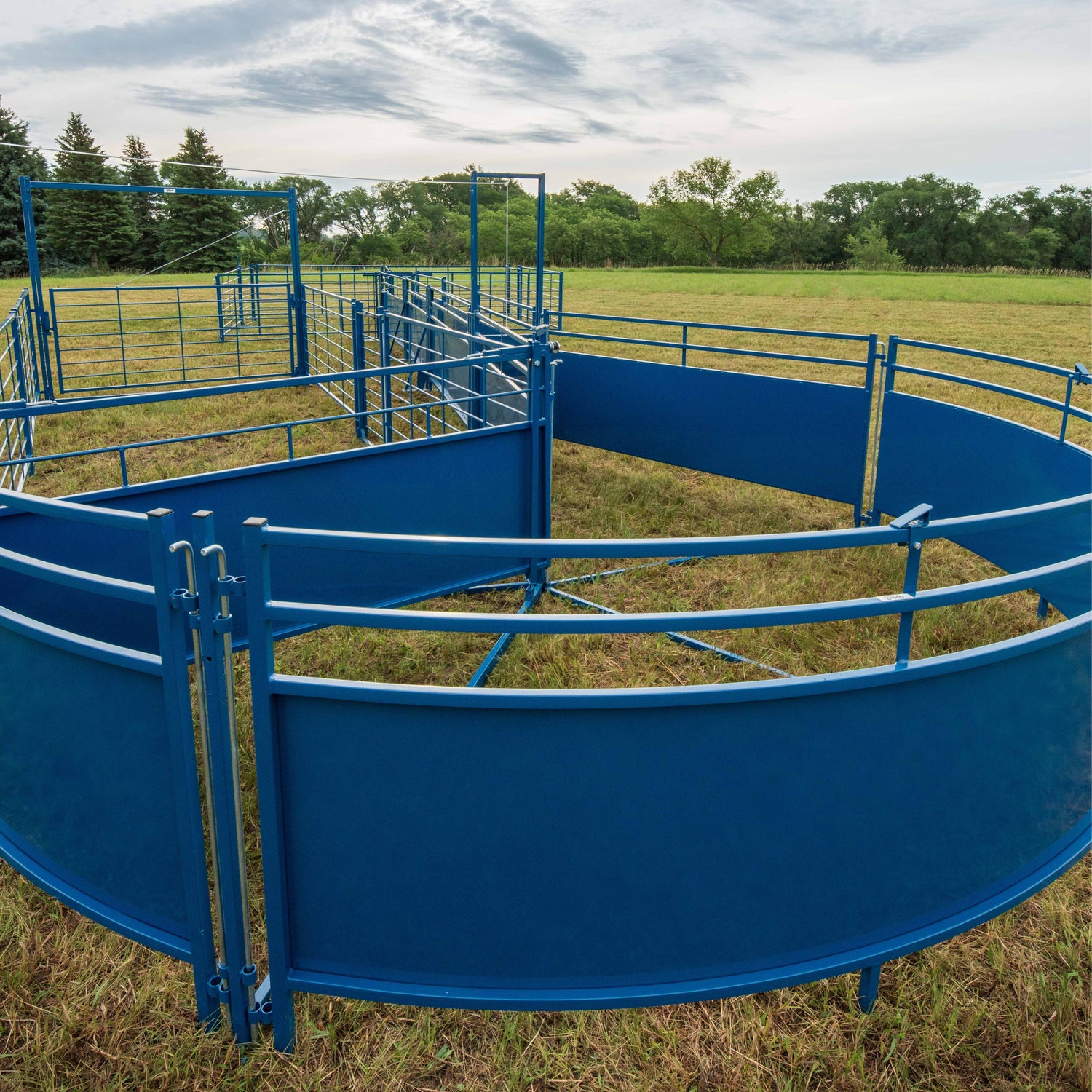 Heavy duty solid livestock panels for sheep and goats used to build corrals, sorting pens, and working systems.