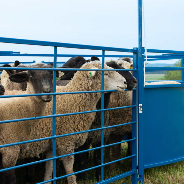 ydell sheep and goat panels designed for durable livestock containment and easy pen setup. Heavy duty livestock panels for sheep and goats used to build corrals, pens, and working systems.