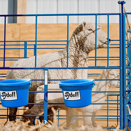 Sydell’s Easy Carry Lambing and Kidding Pens are durable, lightweight, and customizable. Whether you need freestanding or wall-mount options,