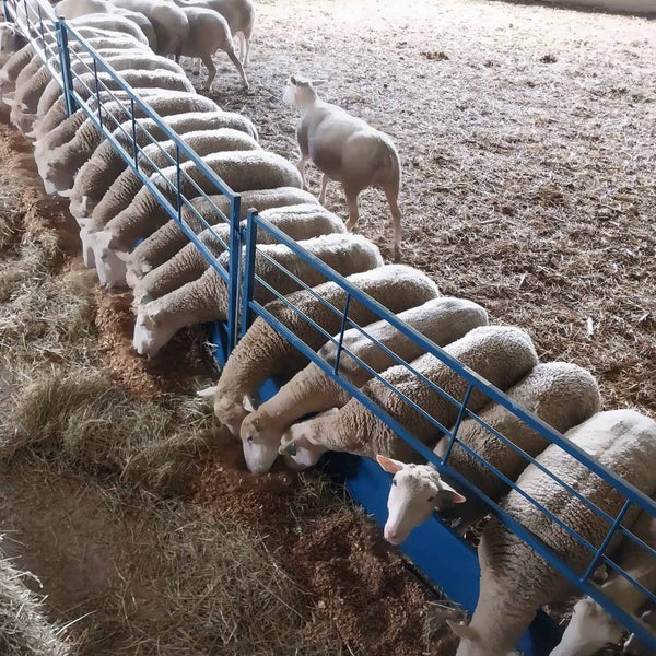 HEAY DUTY FEED PANELS FOR SHEEP AND GOATS HAY PANELS FOR SHEEP AND GOATS