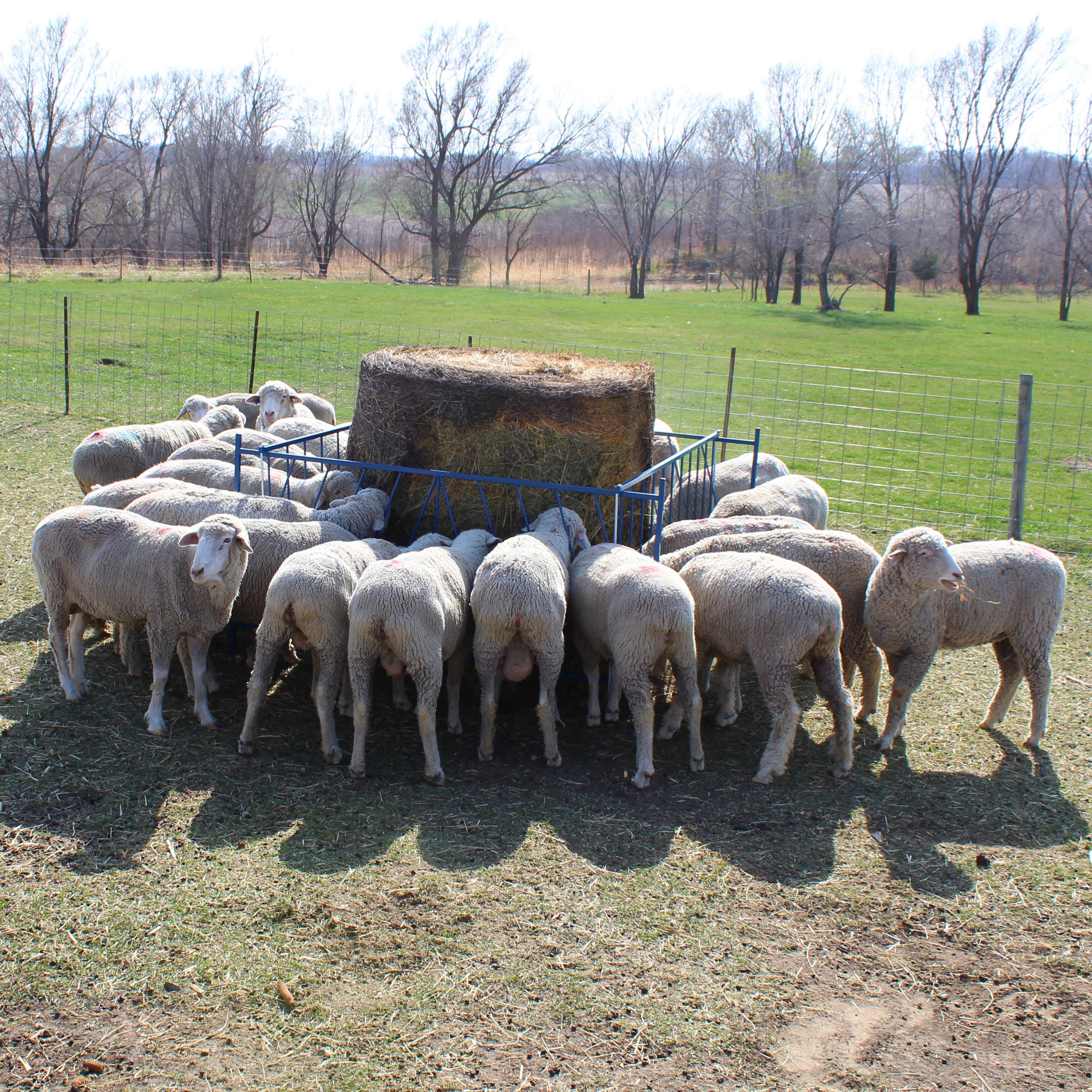 Hay Feeders – Sydell, Inc