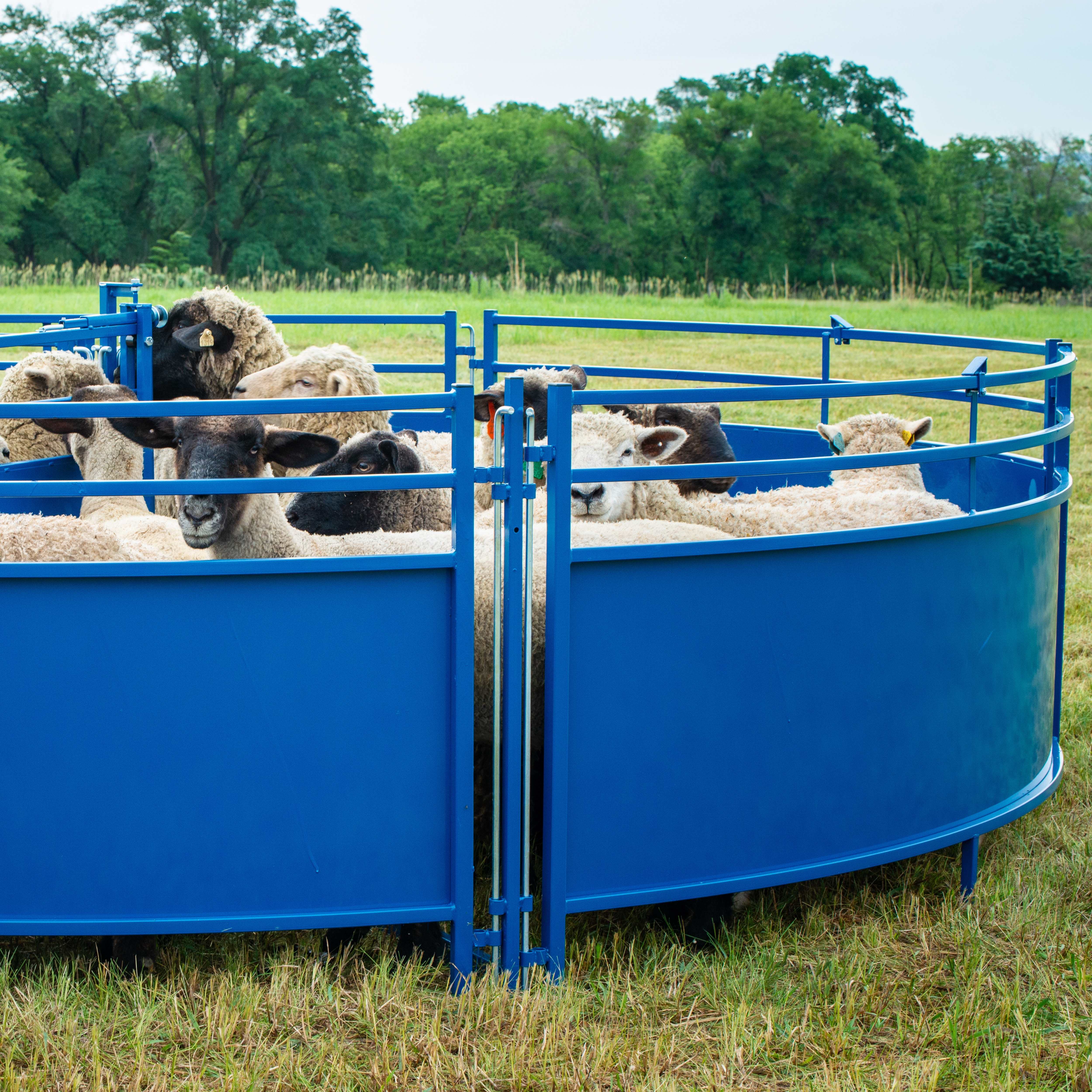 Sheep & Goat Tub Systems | Circular Tubs for Livestock Handling ...
