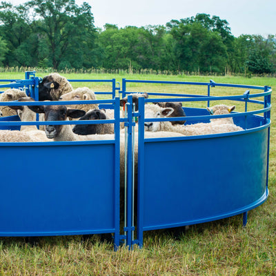 Sheep and goat tub system used in livestock working system for safe animal handling  Livestock tub system for sheep and goats guiding animals into working chute