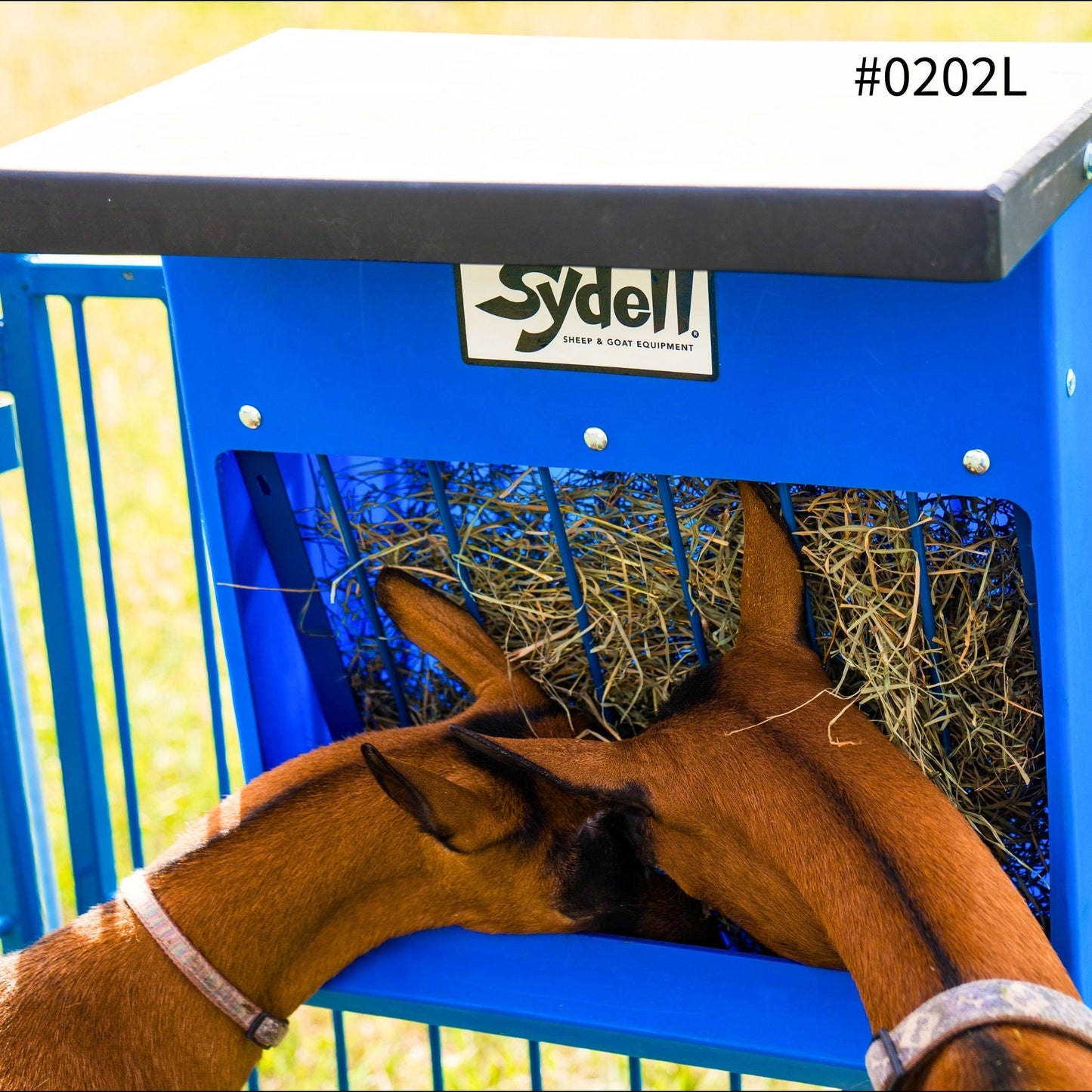 Poly Hay Grain Feeder with Lid 0201L for Sheep & Goats | Sydell #0201L