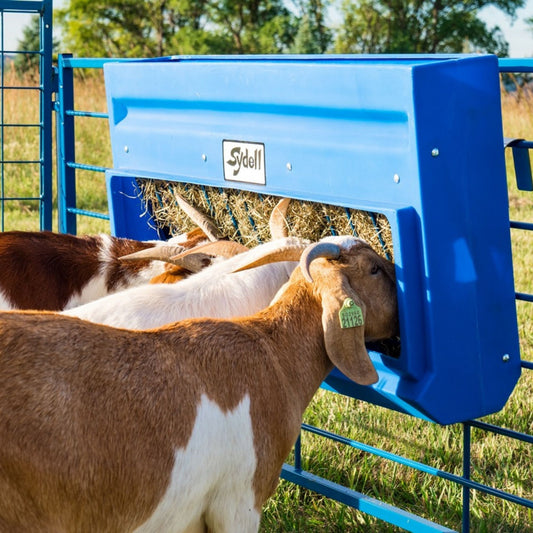 Poly Hay/Grain Feeder for Sheep & Goats | Sydell #0206 / #0207