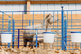 SydellEquipment-182sydell-sheep-goat-farm-handling-equipment-livestock-foldingstylepens-lambing-kidding-lambingjug-kiddingjug-lambingpens-kiddingpens-doublepanels-freestanding