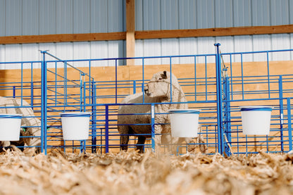 Freestanding Add-On Pens installed in barn layout for efficient sheep and goat handling