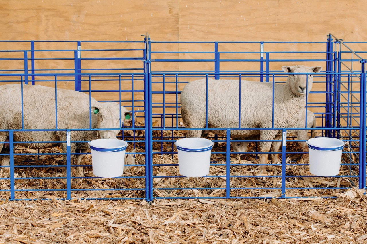 Wall Mount Add-On Pens | Sheep & Goat Lambing & Kidding Pens