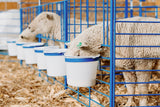 SydellEquipment-203sydell-sheep-goat-farm-handling-equipment-livestock-foldingstylepens-lambing-kidding-lambingjug-kiddingjug-lambingpens-kiddingpens-doublepanels