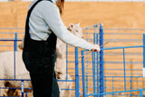 SydellEquipment-194sydell-sheep-goat-farm-handling-equipment-livestock-foldingstylepens-lambing-kidding-lambingjug-kiddingjug-lambingpens-kiddingpens-doublepanels