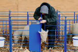 Sydell grafting gate sheep non-horned goats
